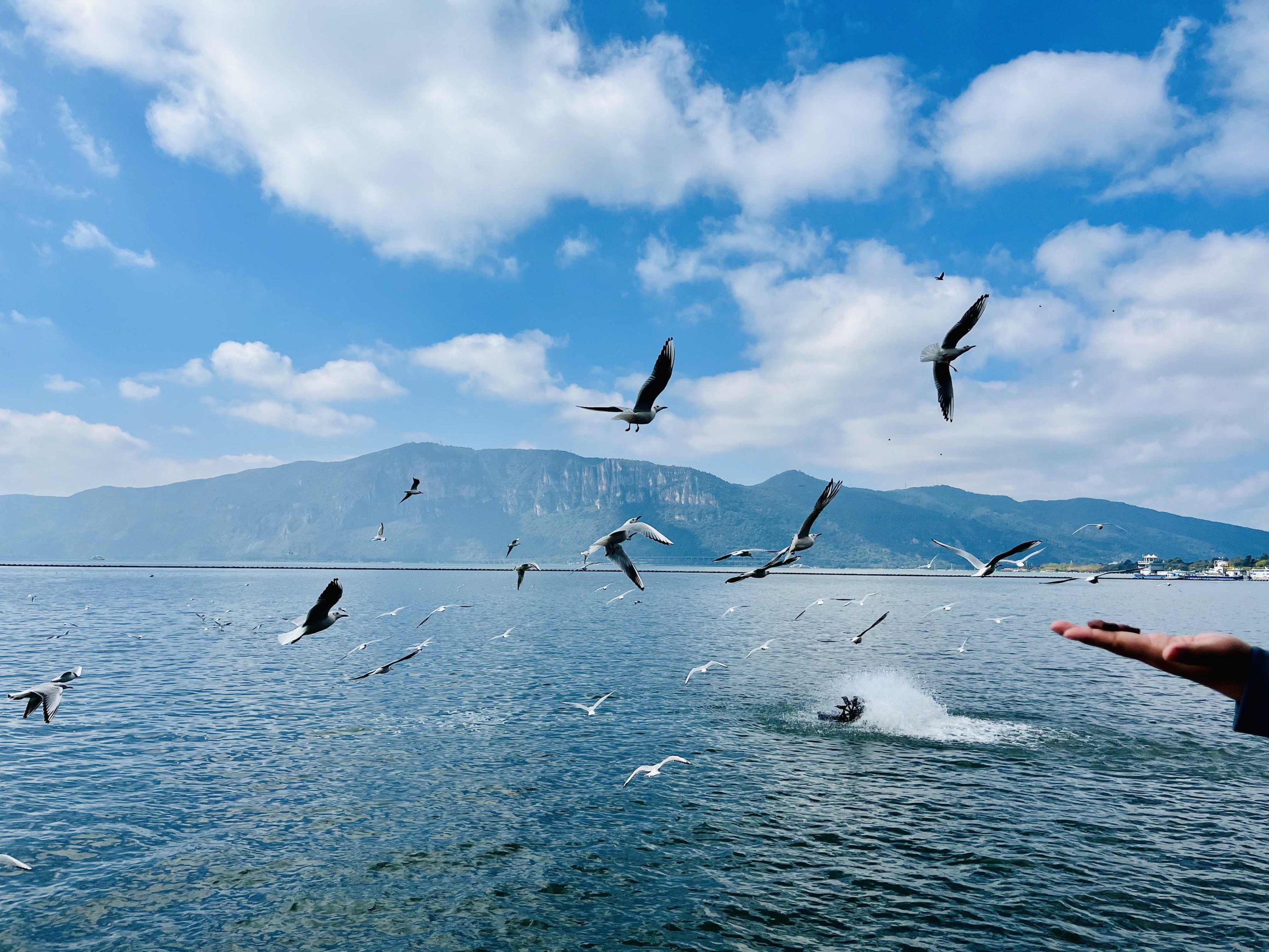 1040g2sg319vh5mgs7c005n7hd3khe3leo13sqo01