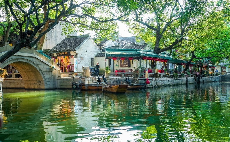 to-chau-5-1694931247