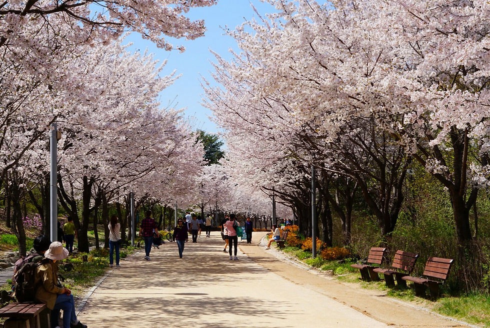 Seoul Forest hay Seoul Forest Park